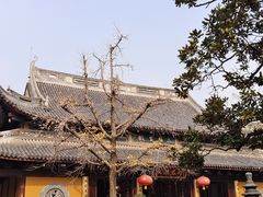 -龙华素斋(龙华路店)