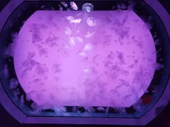 -沈阳海洋探索中心