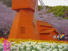 -苏州上方山国家森林公园