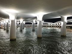 -演武大桥观景平台