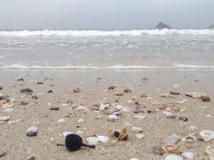 -西涌国际滨海旅游区