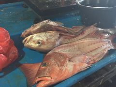 -金巴兰鱼市场