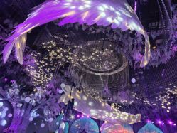 -东方薇婷艺术中心(北外滩店)