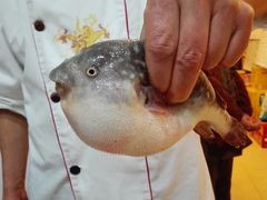 -长顺河豚馆(江洲东路)