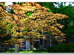 -陕西师范大学(雁塔校区)