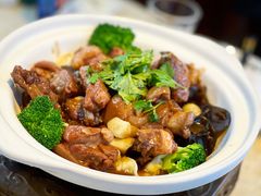 -墨脱石锅椰子鸡•香草鸭•东山羊(大东海店)