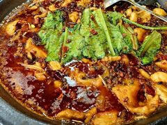 江团-都江堰石锅鱼