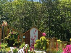 -上海共青森林公园