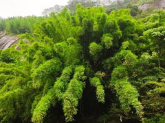 -九曲溪竹筏码头