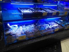 水产区-新海渔港·胶东海鲜家常菜·家宴(奥体中心店)