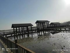 -天津东丽湖风景区