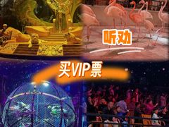 -广州长隆国际大马戏