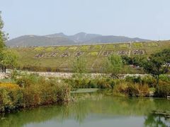 -梨木台悦来客农家院