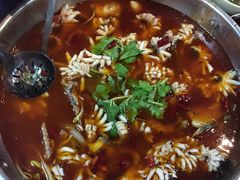 -重庆乌鱼庄·龙滋鲜(青羊大道店)