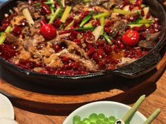 -老板恋上鱼(恒隆广场店)