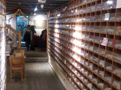 -猫的天空之城概念书店(西塘古镇店)