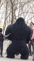 -268童话露营农场·烧烤·团建
