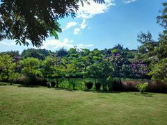 -西双版纳勐泐文化旅游区