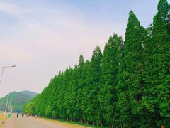 -南京金牛湖风景区