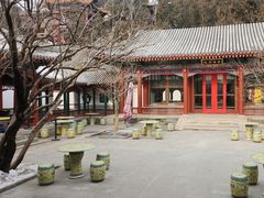 -宫事颐庭·老佛爷贵寿下午茶(颐和园店)