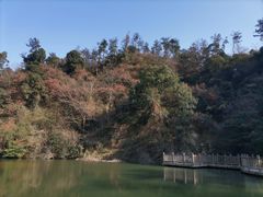 -洪崖丹井
