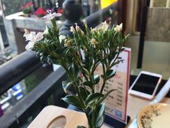 -蘑统田下·野生菌火锅