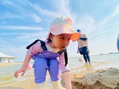 -碧海金沙