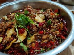 -食神又名厕所兔
