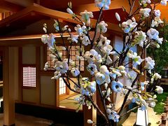 -北方暖暖温泉洗浴(沈阳北站店)