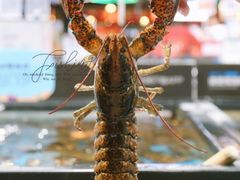 波士顿龙虾-盒马鲜生(曜一城店)