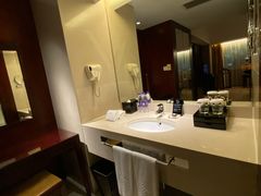 -广州白云机场雅高铂尔曼大酒店