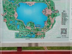-莲花池公园