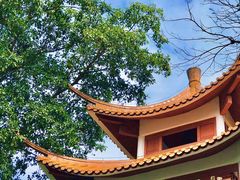 -深圳仙湖植物园