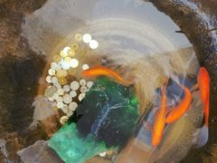 -龙华素斋(龙华路店)