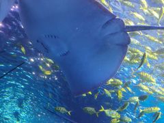 -太平洋海底世界