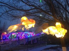 -沈阳奥体冰雪嘉年华