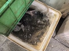 -万州烤鱼江湖菜(圣地阳光店)