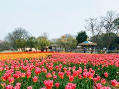 -无锡梅园公园