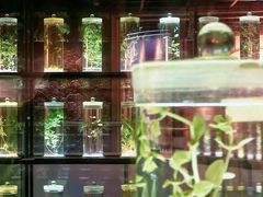 -广东中医药博物馆