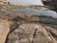 -日照灯塔风景区