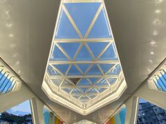 -金鸡山公园