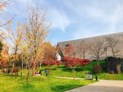 -武汉大学-樱园
