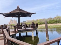 -前关湿地公园