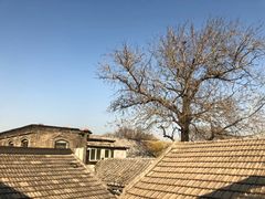 -后海16号·北京私房菜