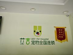 -艾吉宠物医院·疑难杂症转诊中心·猫友好(碧江路院)