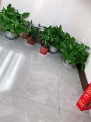 -尚艺造型.剪烫染.接发