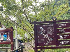 -鹿院坪生态旅游景区