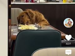 -奉天蚨祥饺子馆