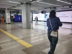 -大望路(地铁站)