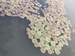 -太湖湖滨国家湿地公园-停车场